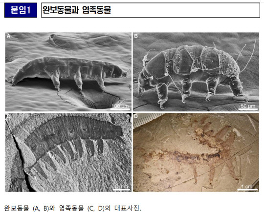 <자료: 극지연구소>