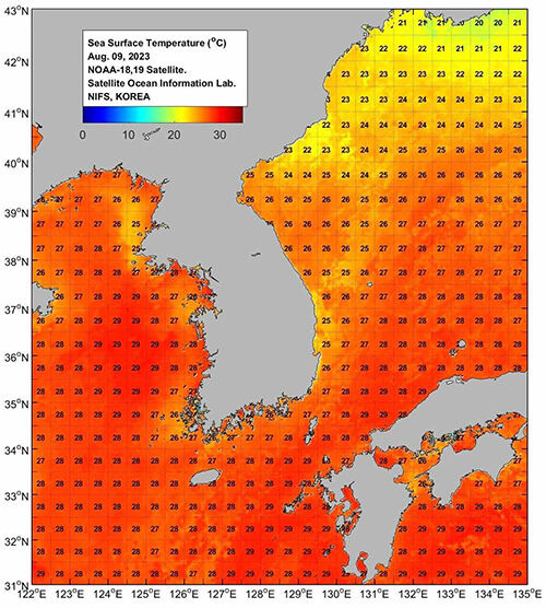 미국 해양대기청(NOAA) 위성으로 파악한 한반도 주변 해수면 온도 (사진=국립수산과학원 제공, 연합뉴스)