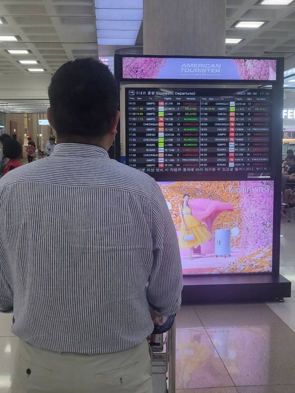제주공항 출발장에 운항 스케줄 안내판 앞에서 한 여행객이  출발 현황을 살펴보고 있다. 오후 5시를 넘으면서 출발 현황판에는 거의 대부분이 빨간색 결항 표시가 되고 있다. 제주 강동삼 기자