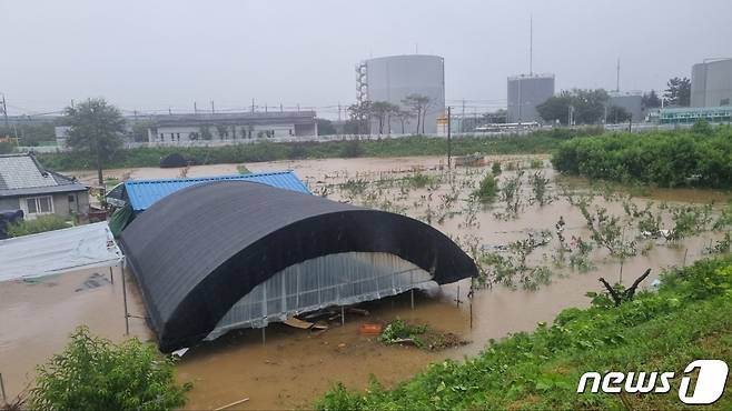 제6호 태풍 '카눈'이 상륙한 10일 오전 9시45분쯤 대구 수성구 성동 비닐하우스가 물에 잠겨 소방대원이 장비를 동원해 물을 빼고 있다. (대구소방안전본부 제공) 2023.8.10/뉴스1 ⓒ News1 이성덕 기자
