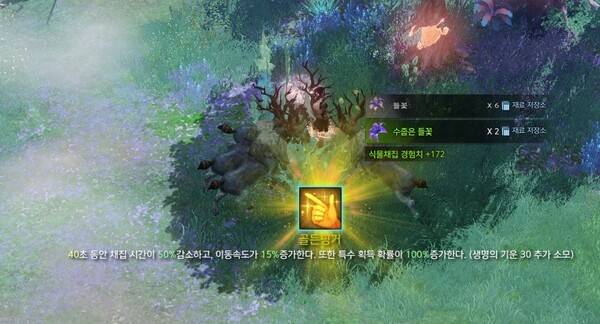 - 채집의 핵심 버프, 알파이자 오메가인 골든 핑거