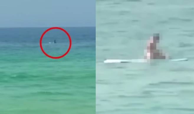 (JTBC '사건반장' 갈무리)