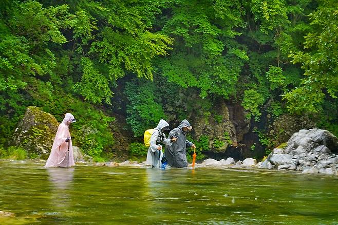 계곡 횡단[사진/백승렬 기자]