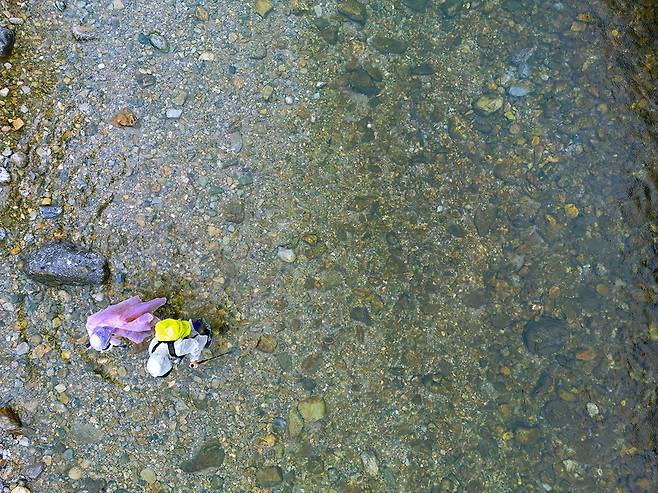 물이 맑아 바닥이 훤히 보이는 계곡[사진/백승렬 기자]