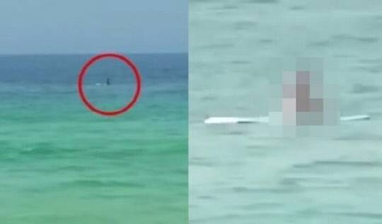 사진=jtbc 뉴스화면 갈무리