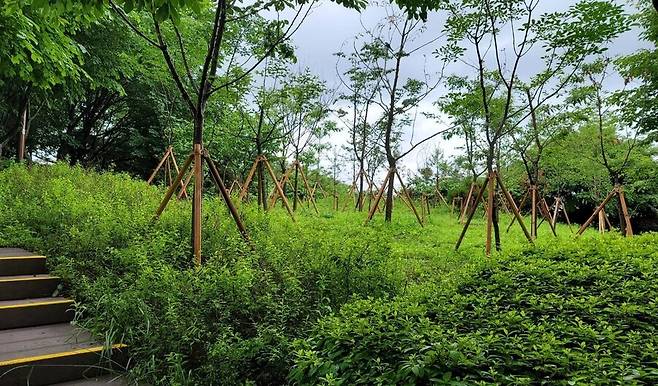 서울시가 북한산·관악산 등 일대에 조성한 1차 바람길숲. 서울시 제공