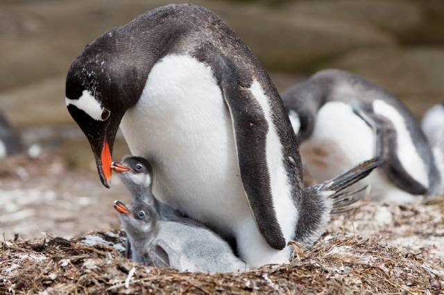 사진=클립아트코리아