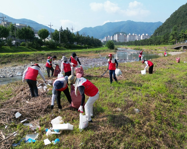 13일 태풍 피해 지역인 창원시 마산회원구 광려천 일대와 진주시 남강 일원에서 경남은행 임직원 100여명이 환경 정비를 위한 봉사 활동을 하고 있다. 경남은행 제공