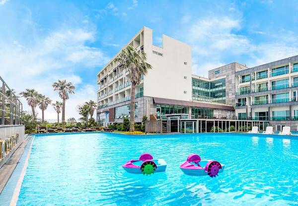 온라인 커뮤니티