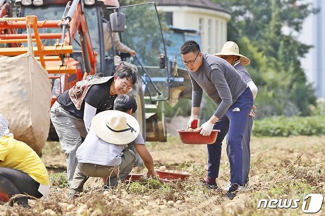 김동선 한화갤러리아 전략본부장이 8월2일 한국 파이브가이즈에 감자를 공급하는 강원 평창군 산지에서 생산과정 전반을 점검하고 있다(에프지코리아 제공).