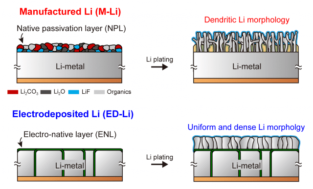 상업용 리튬(M-Li)에 비해 균일하고 밀도 높게 리튬이 전착될 수 있는 전착 리튬(ED-Li) (자료=DGIST)