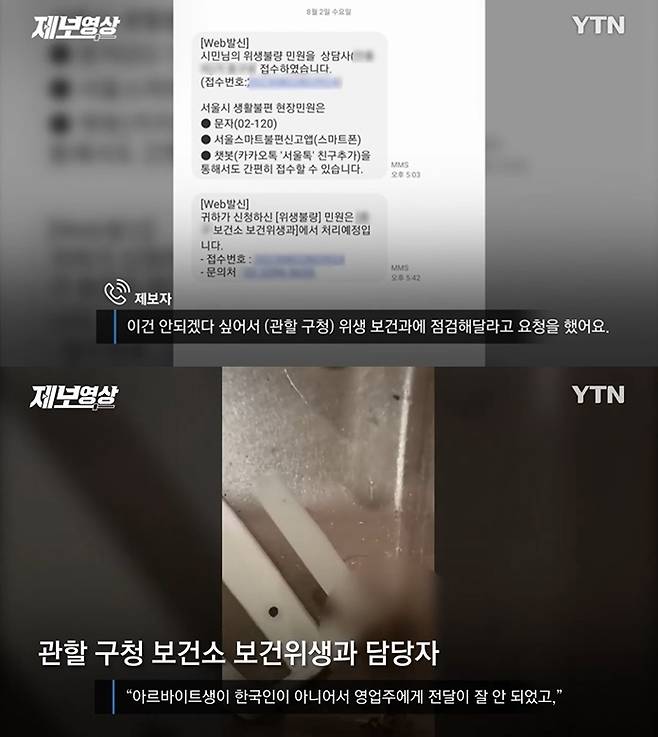 (YTN 뉴스 갈무리)