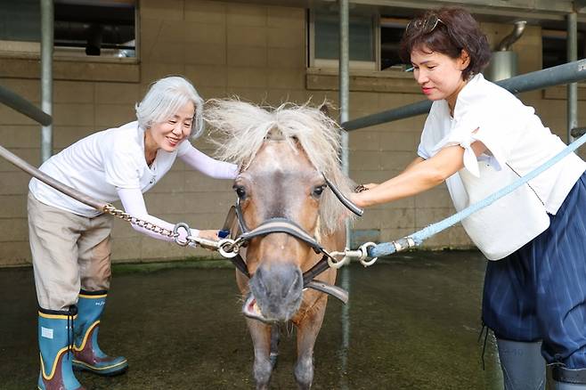 실버힐링승마 시범사업 현장. 사진 | 한국마사회