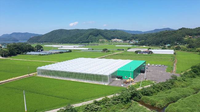 충남 보령시 청라면 그린몬스터즈 전경.