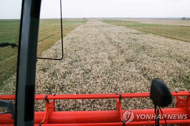 러시아 모스크바 근교의 밀 수확 현장 [타스 연합뉴스 자료사진. 재판매 및 DB 금지]