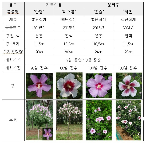 무궁화 용도별 품종 특성. /뉴스1