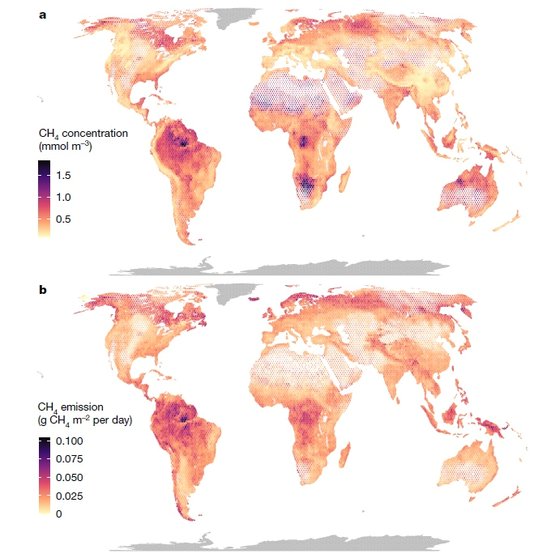 전 세계 강의 메탄 농도(a, 단위는 세제곱미터 당 밀리몰)와 메탄 배출 속도(b, 단위는 24시간 동안 제곱미터 당 그램). [자료: Nature, 2023]