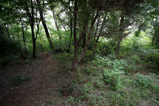 18일 오후 전날 성폭행 사건이 발생한 서울 관악구 신림동의 둘레길 모습. 연합뉴스