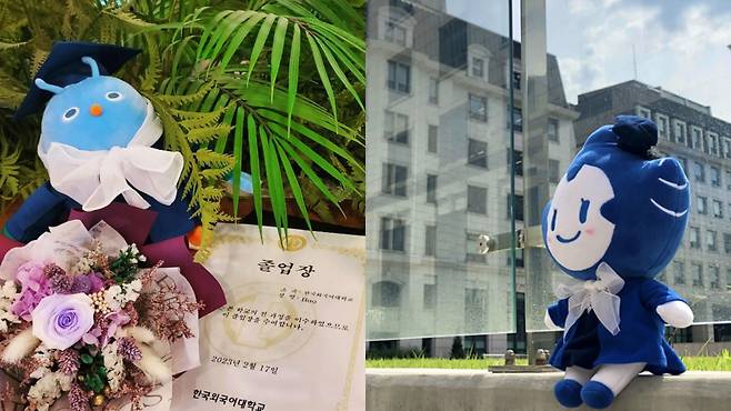 왼쪽은 한국외국어대학교 공식 캐릭터인 ‘부’ 인형. 오른쪽은 숙명여자대학교 공식 캐릭터인 ‘눈송이’ 인형이다. [한국외대·숙명여대 제공]