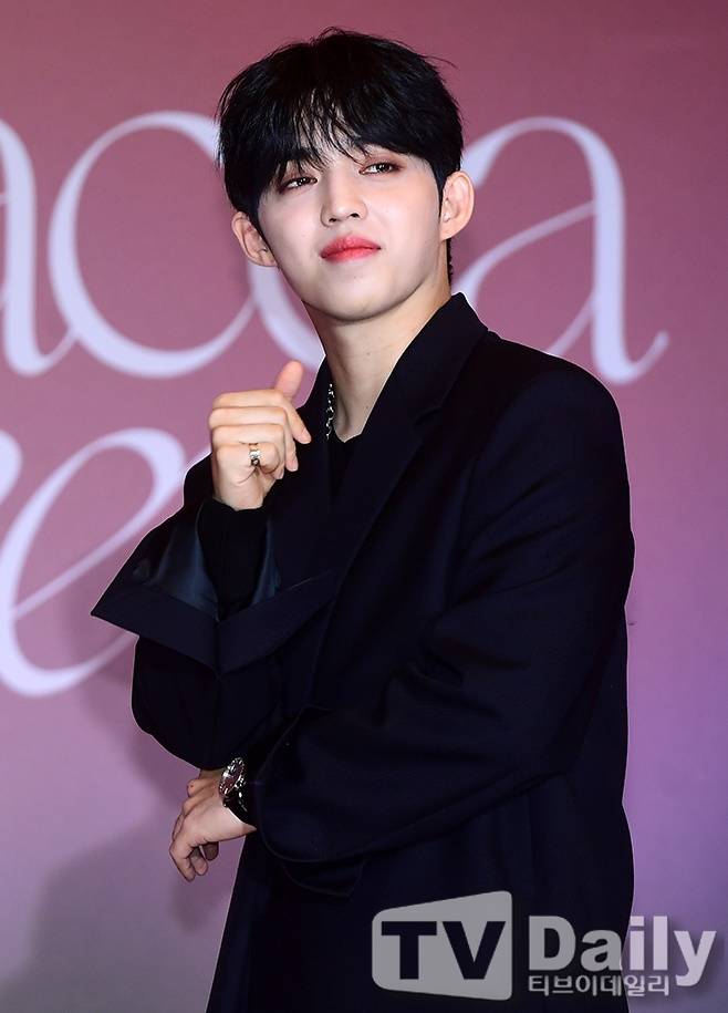 세븐틴 에스쿱스