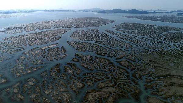 다큐멘터리 의 한 장면 / 황윤 감독 제공