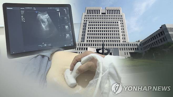 한의사도 초음파기기 사용 가능(CG)  [연합뉴스TV 제공]