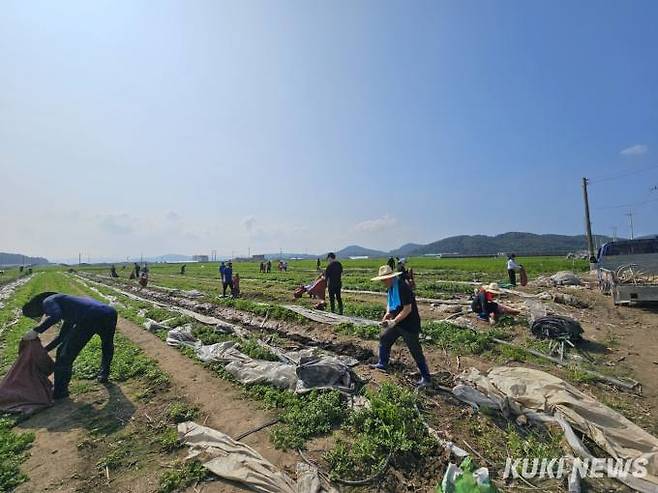 충남도립대 교직원들이 18일 청양군 장평면 분향리 일원을 찾아 수해복구 마무리 작업을 돕고 있다.