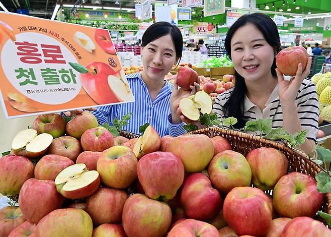 20일 서울 서초구 하나로마트 양재점에서 모델들이 추석 제수용으로 사용되는 '홍로' 품종 사과를 소개하고 있다.