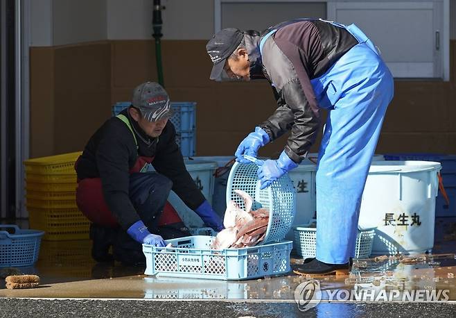 후쿠시마현 이와키시 수산물 시장에서 경매를 준비하는 사람들 [EPA 연합뉴스 자료사진. 재판매 및 DB 금지]