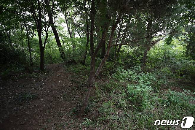 지난 17일 서울 관악구 신림동의 한 산속 둘레길에서 성폭행 사건이 발생했다. 사진은 사건현장의 모습. 2023.8.18/뉴스1 ⓒ News1 이동해 기자