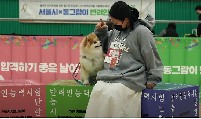 2022 서울시 반려인 능력시험에 참가한 반려견과 반려인 /서울시 제공