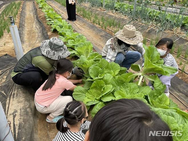 [서울=뉴시스]서울시는 서울 어린이집·유치원생·초중등생 600명을 대상으로 강서구 과해동에 위치한 '힐링체험농원'에서 '힐링농업체험학습'을 진행한다고 21일 밝혔다. (사진=서울시 제공). 2023.08.21. photo@newsis.com