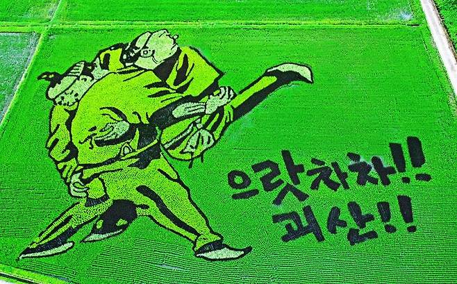 [괴산=뉴시스] 강신욱 기자 = 21일 충북 괴산군 문광면 신기리 문광저수지 일대에는 괴산군 여자씨름부의 건승을 응원하는 유색벼 논그림이 장관을 연출하고 있다. 괴산군이 해마다 주제를 바꾸며 조성하는 유색벼 논그림은 올해로 16년째다. (사진=괴산군 제공) 2023.08.21. photo@newsis.com *재판매 및 DB 금지