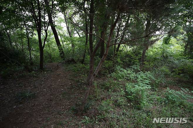 [서울=뉴시스] 정병혁 기자 = 지난 17일 서울 관악구 신림동의 한 산속 둘레길에서 발생한 성폭행 사건현장의 모습.(공동취재사진) 2023.08.18. photo@newsis.com