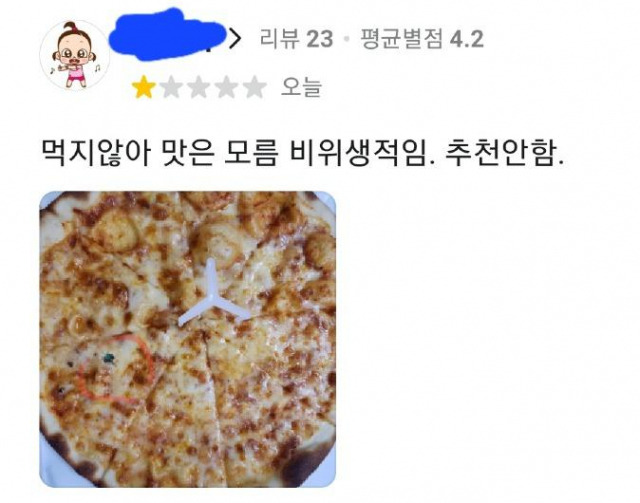 파리 그림을 합성해 결제 취소를 하려던 고객이 ‘별점 테러’까지 한 모습. 온라인 커뮤니티 캡처