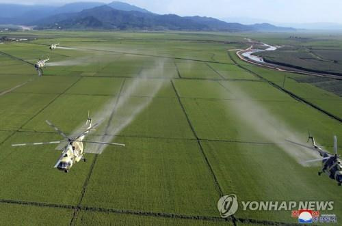 北김정은, 수해 농장 농약살포에 군 헬기·수송기 동원 [조선중앙통신 연합뉴스 자료사진. 국내에서만 사용가능. 재배포 금지] 2023.8.18