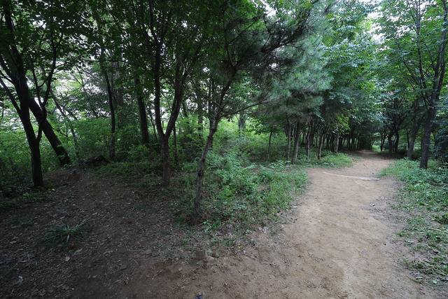 지난 17일 피의자 최모(30)씨가 성폭행 및 살인 사건을 저지른 서울 관악구 신림동 인근의 한 산속 둘레길. 뉴시스