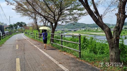 남양주시 왕숙천 산책길에서 한 시민이 유충이 하늘에서 떨어지는 것을 막기 위해 우산을 쓰고 걷고 있다. 이대현기자