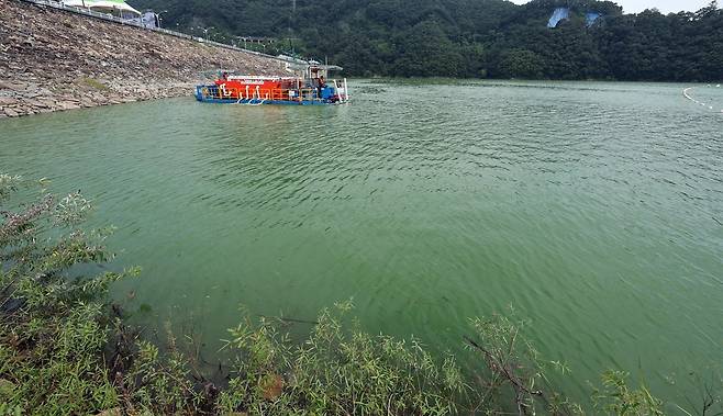 대청호 녹조 제거 작업 촬영 천경환 기자