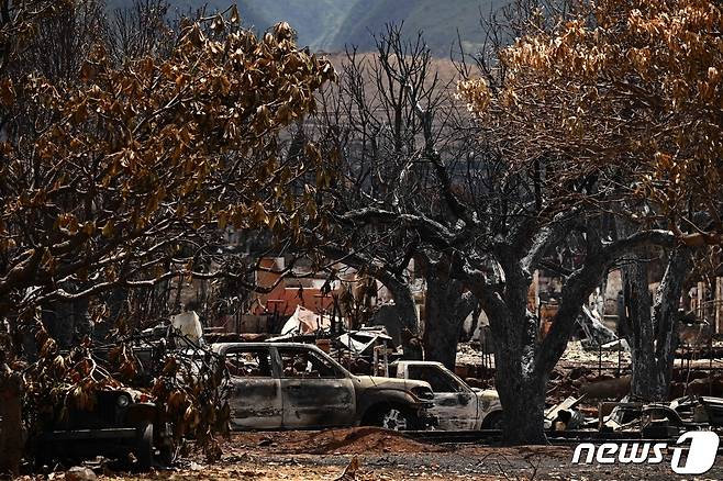 16일(현지시각) 산불 참사가 휩쓴 하와이 마우이 섬 라하이나에서 불에 탄 주택과 차량이 보이고 있다. 2023.8.17 ⓒ AFP=뉴스1 ⓒ News1 우동명 기자