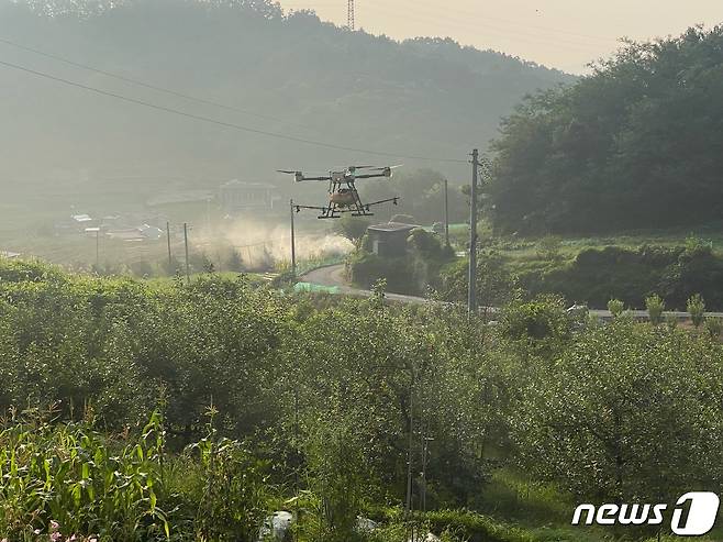 금산군 돌발해충 피해 최소화 공동 협업방제 모습.(금산군 제공)/ 뉴스1