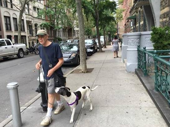 온라인 커뮤니티