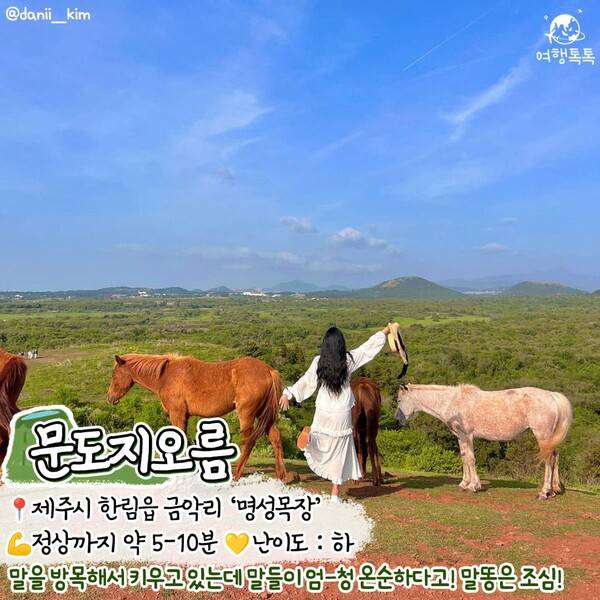 제주 오름 추천 / @danii__kim