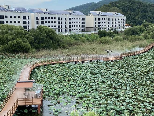 합천 정양늪 생태공원