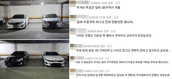 보배드림 캡처