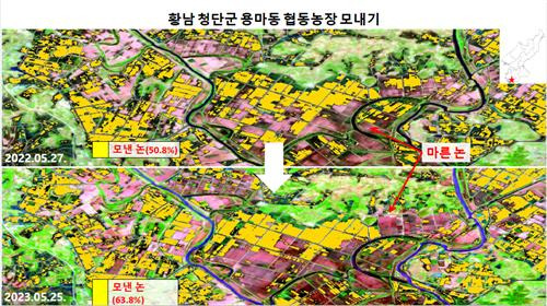 작년과 올해 5월말 황해남도 청단군 용마동 협동농장 위성영상 [정성학 센터장 보고서 캡처]