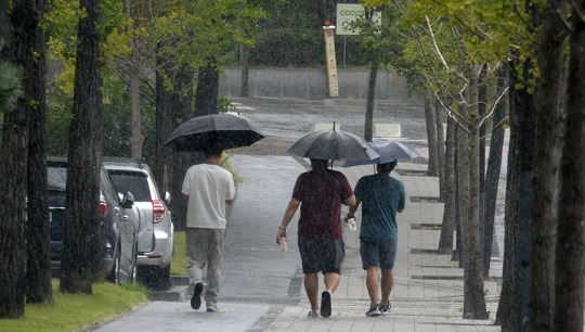 24일 전북대학교에서 학생들이 우산을 들고 교정을 걷고 있다. 사진=뉴시스