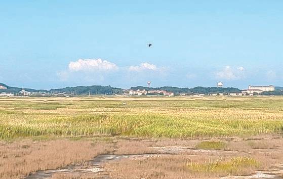 새만금신공항 부지. 중앙포토