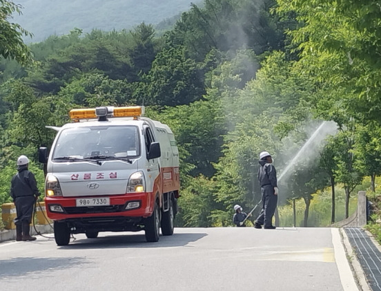 농림지 동시 발생 병해충 방제 모습./사진제공=산림청