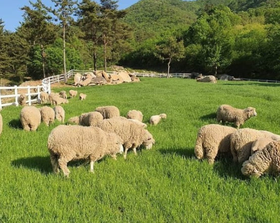 온라인 커뮤니티